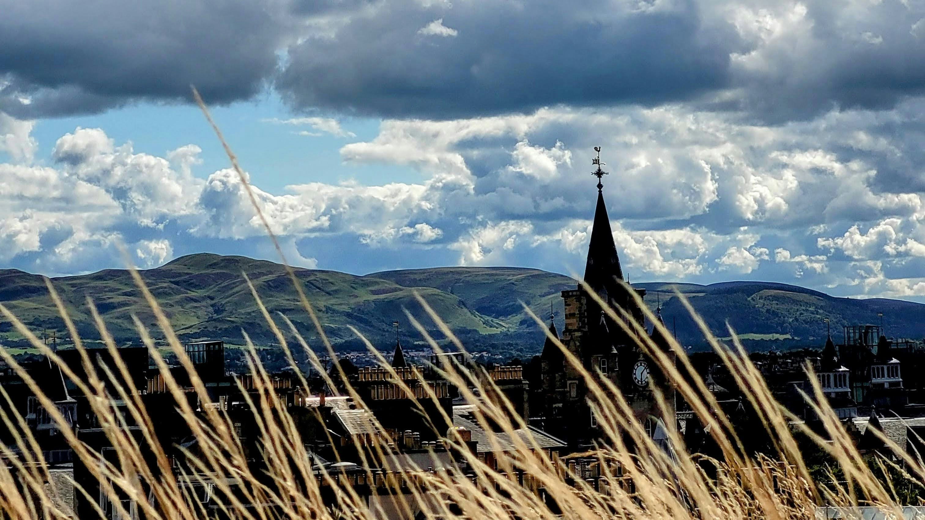 Image by Ilma Fiddien via Unsplash