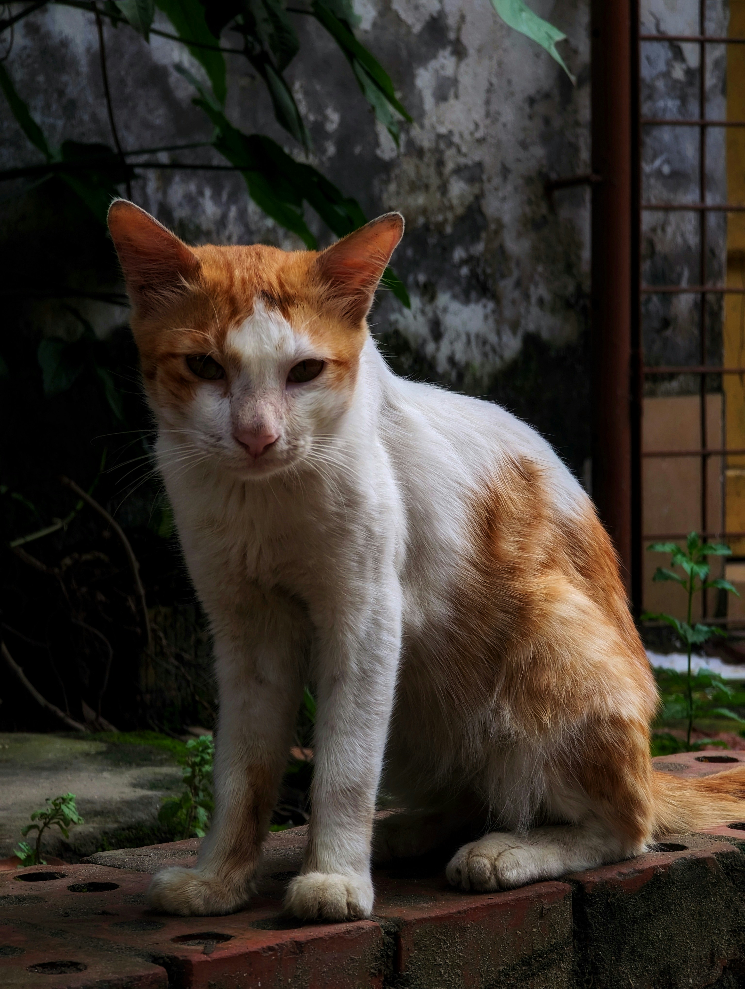 Photo by sadnanbashar