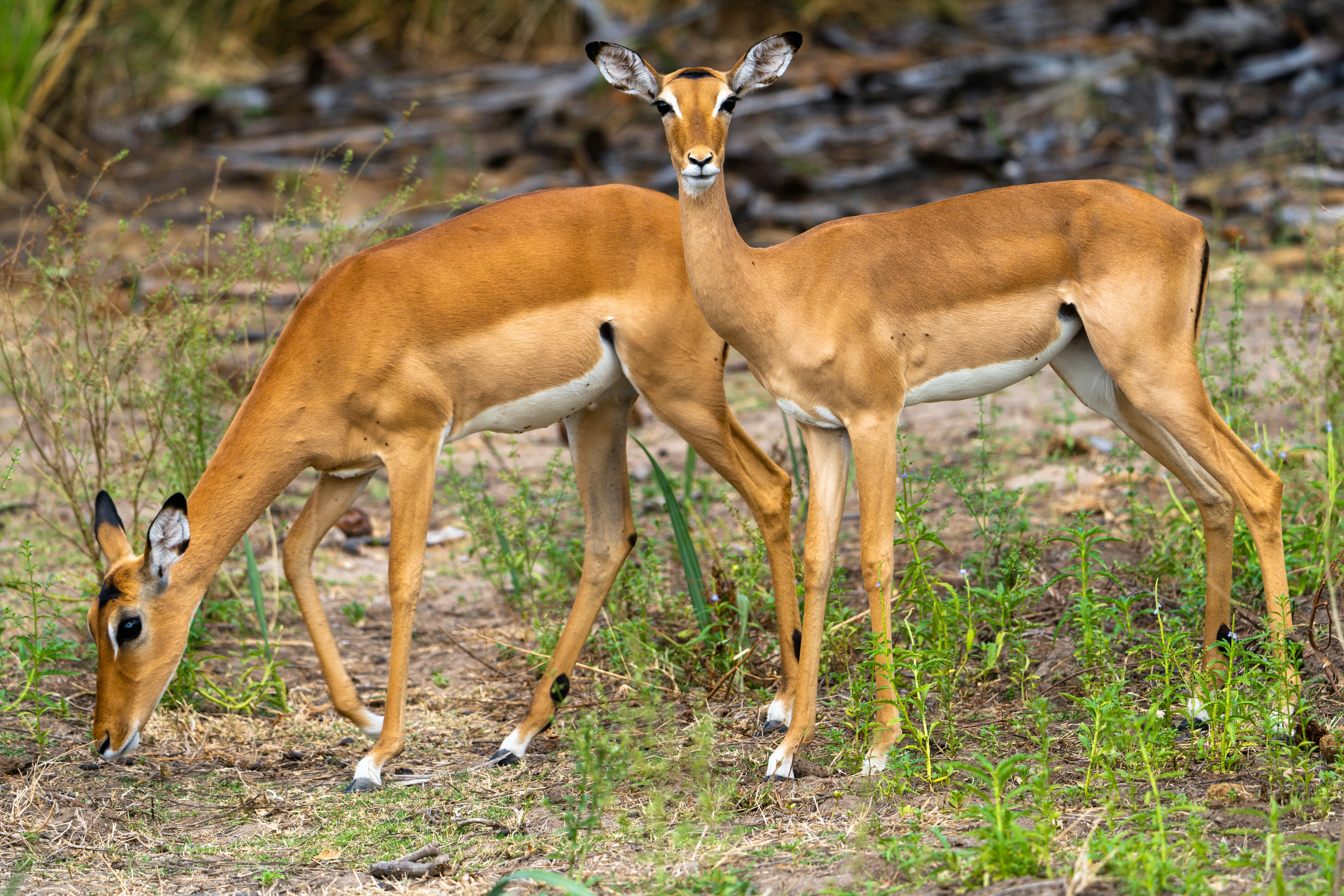 Photo by aronmarinelli