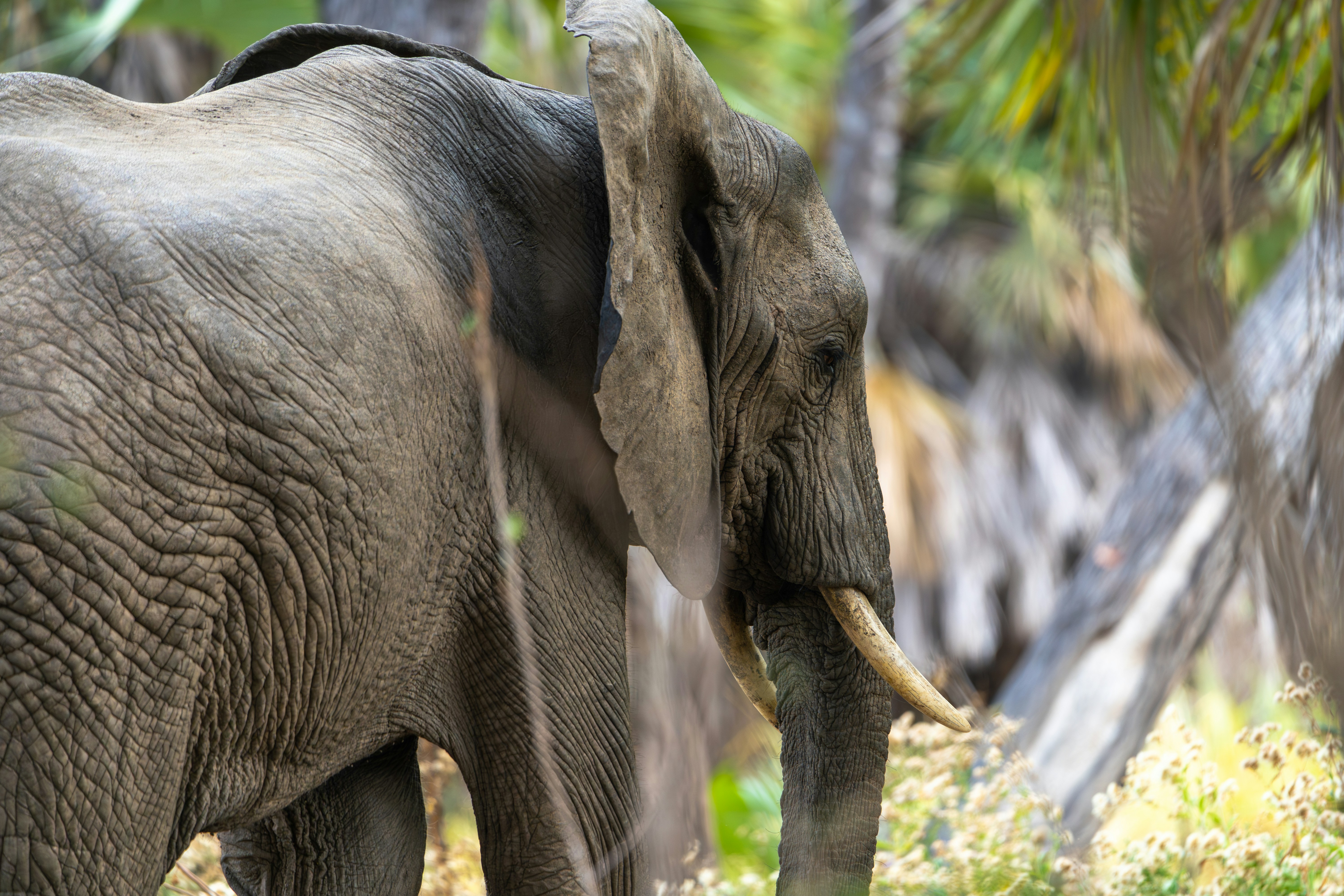 Photo by aronmarinelli