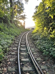 A worn railway track cutting through dense jungle foliage at dawn.