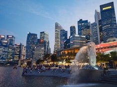 a city skyline with a fountain in the foreground