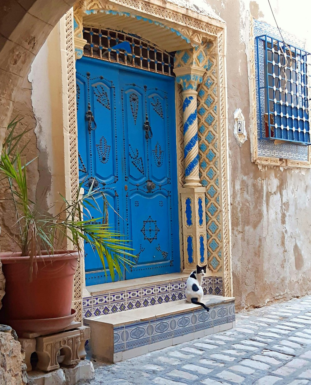 a cat sitting in front of a blue door