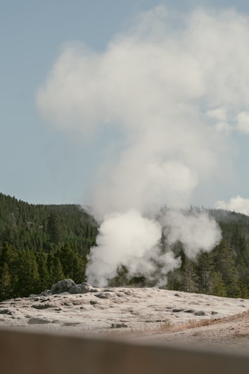 A natural geyser emitting a plume of steam into the air, set against a forested landscape under a clear sky. The surrounding area is rocky and barren, contrasting with the green trees in the background.