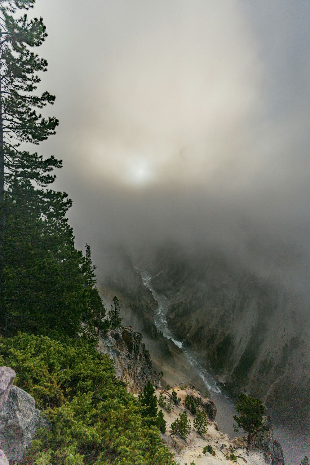 a foggy mountain with trees and water