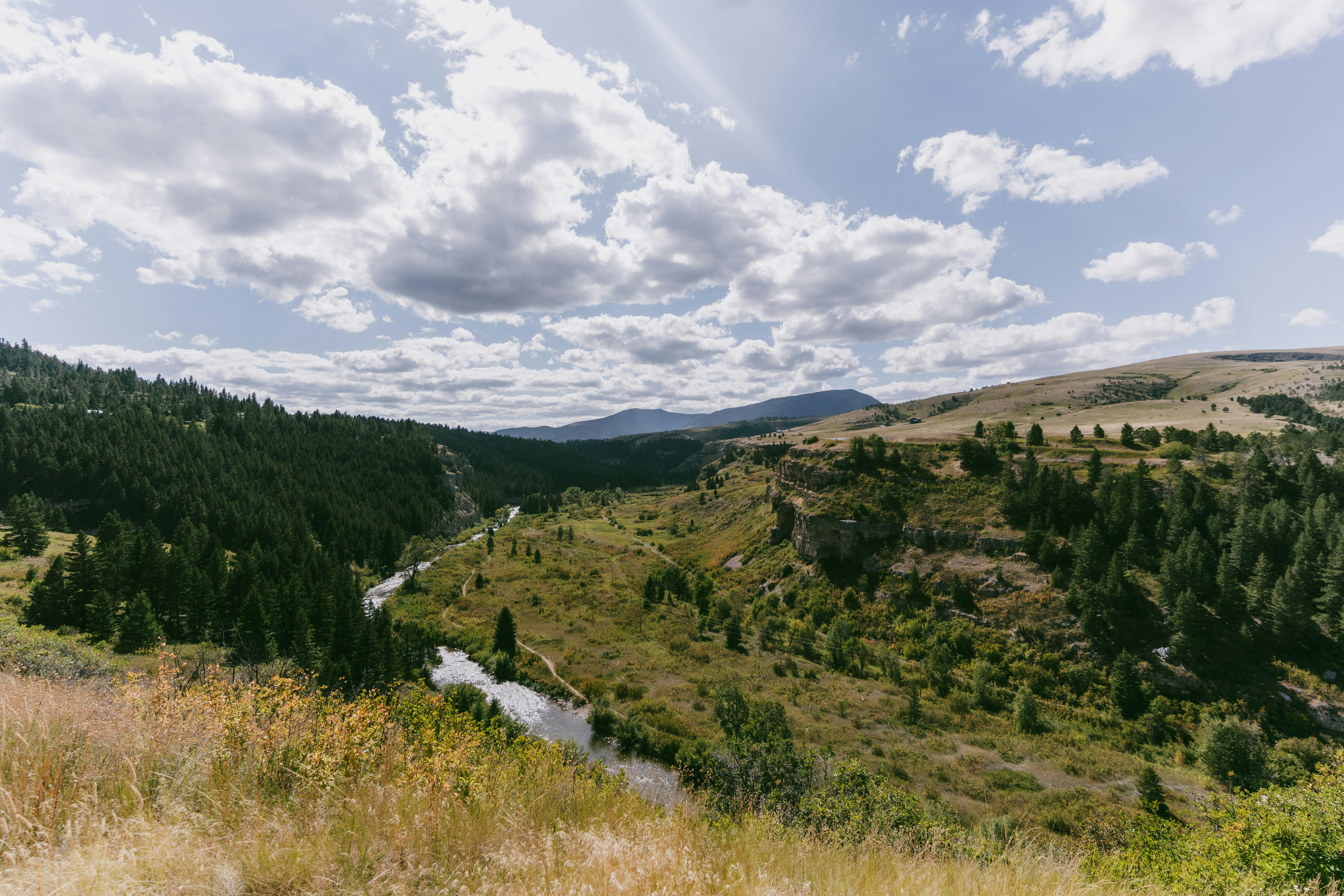 Yellowstone National Park travel photo
