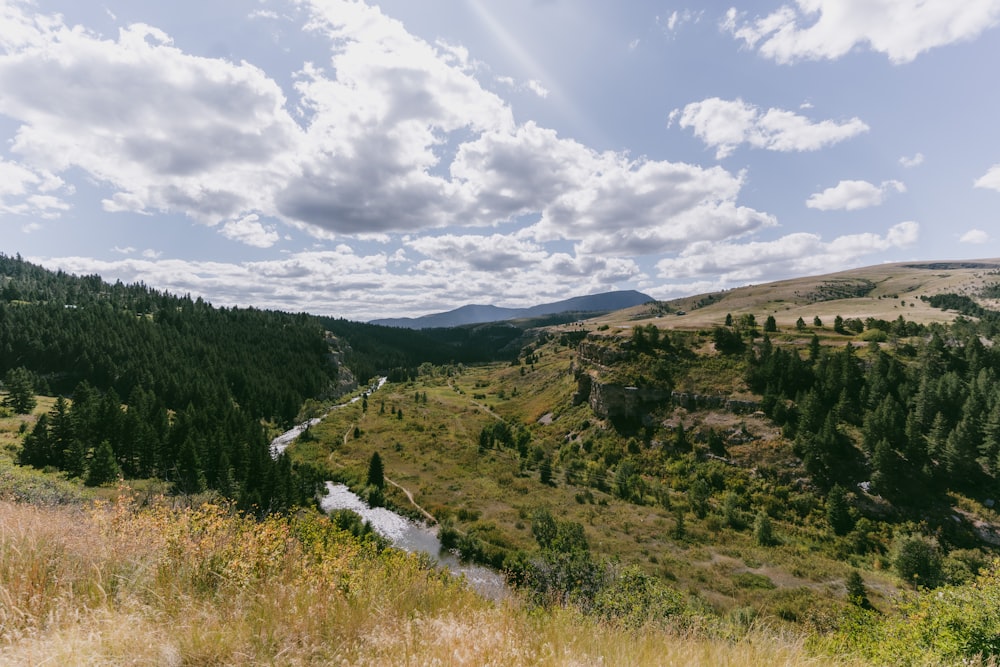 une rivière qui traverse une colline verdoyante