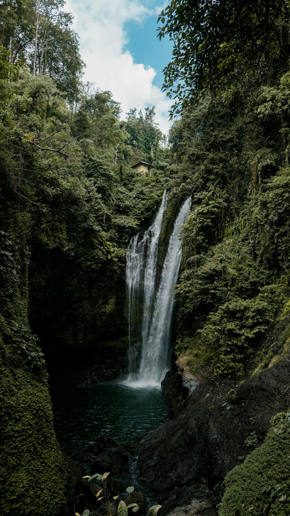 a large waterfall in the middle of a forest