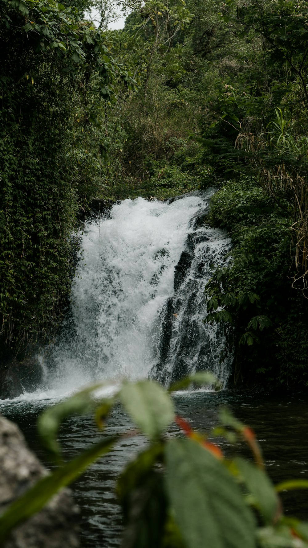 a large waterfall in the middle of a forest