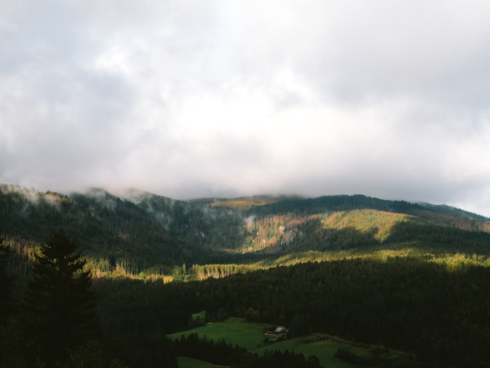 a view of a mountain range with a few trees