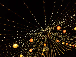 Elegant decorative string lights adorning a festive Indian courtyard.
