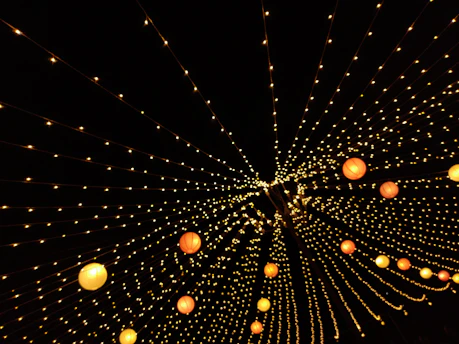 Elegant decorative string lights adorning a festive Indian courtyard.