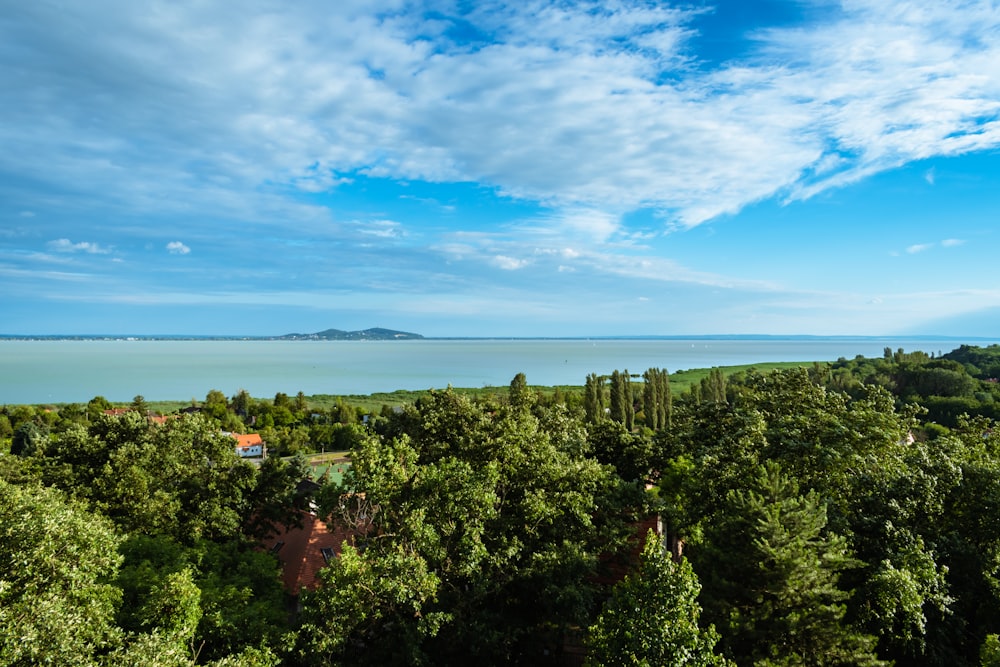 a scenic view of the ocean and trees