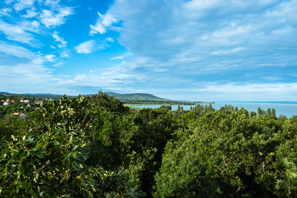 a view of the ocean from a hill top