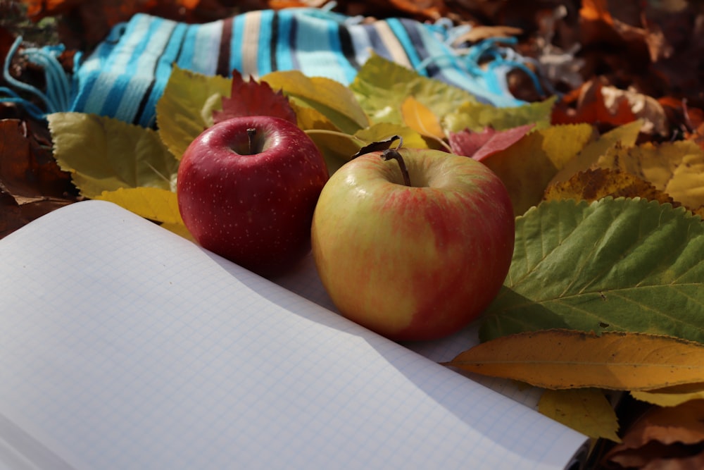 an apple and an apple pie sitting on top of leaves