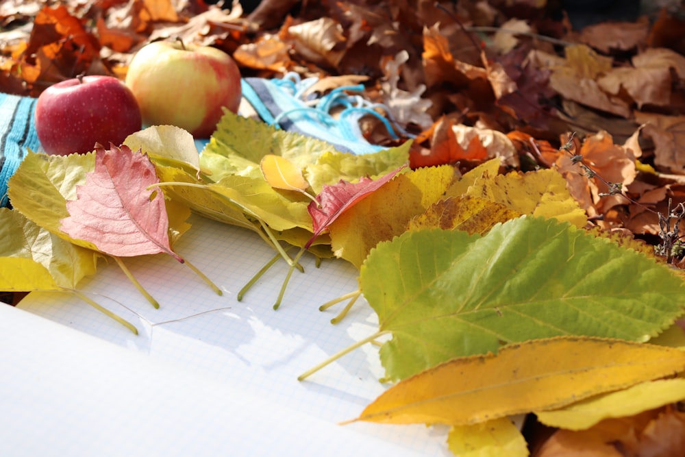 a table topped with leaves and apples on top of it