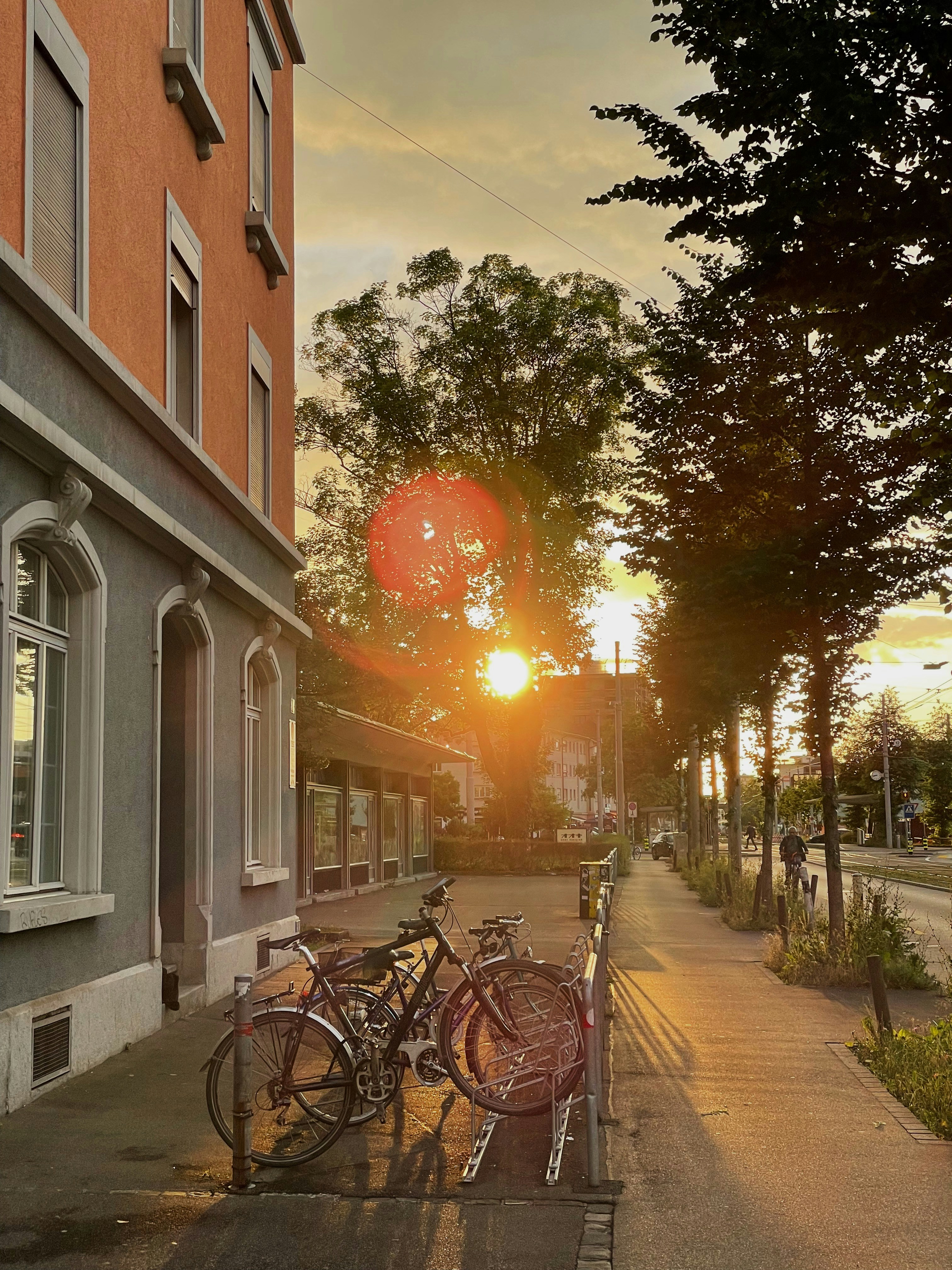 Photo by gullarbabakishiyeva