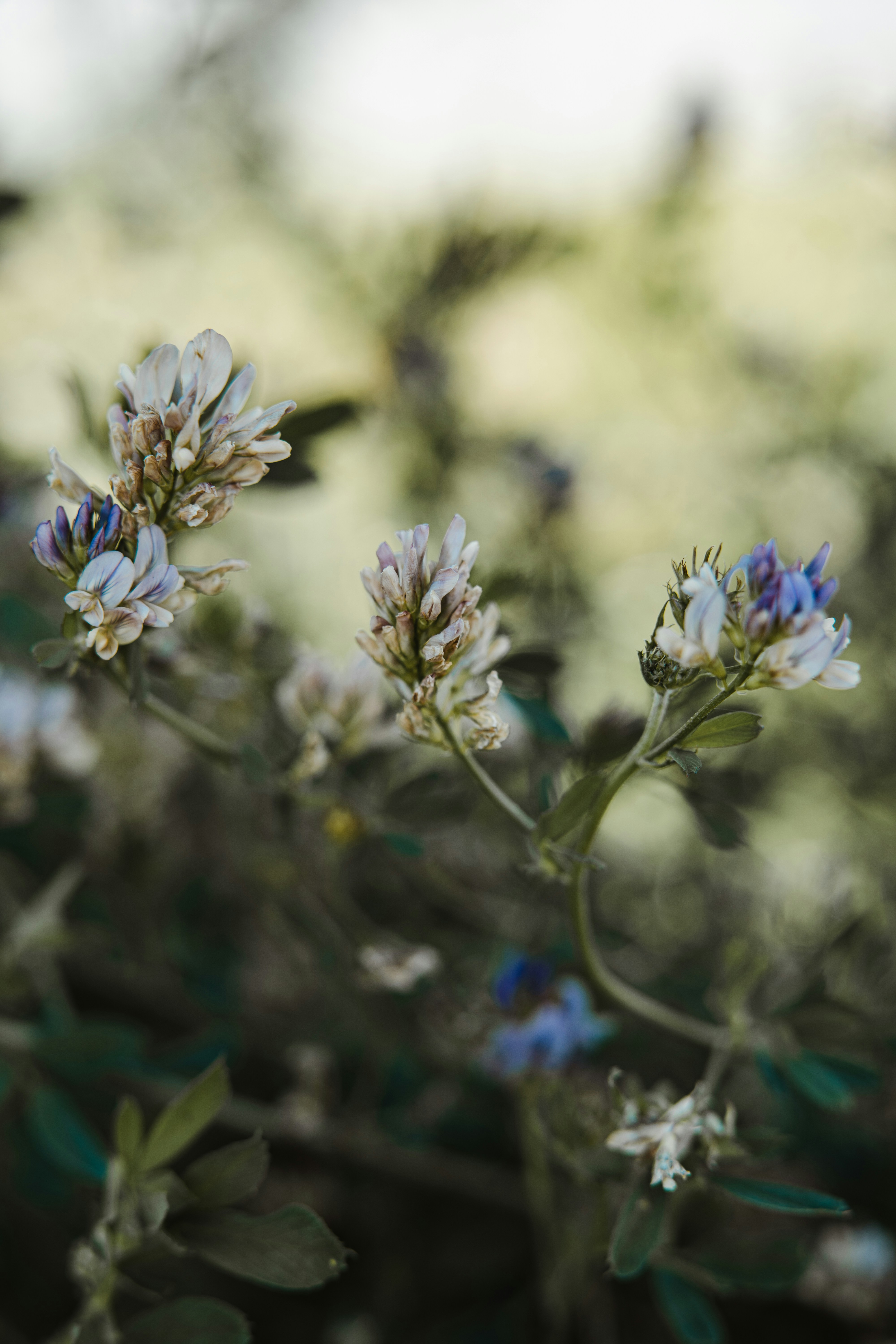 Photo by anamnesis33