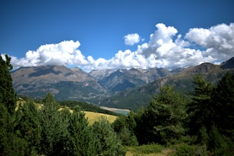A scenic Minecraft landscape featuring lush forests and mountains under a bright blue sky.