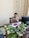 A person is sitting at a wooden desk in an office environment, engaged in a phone conversation. There is a computer monitor on the desk, along with a keyboard, a mouse, and some office documents. Several green houseplants in vases are arranged on the desk. The background features a plain wall with a power outlet and beige curtains.