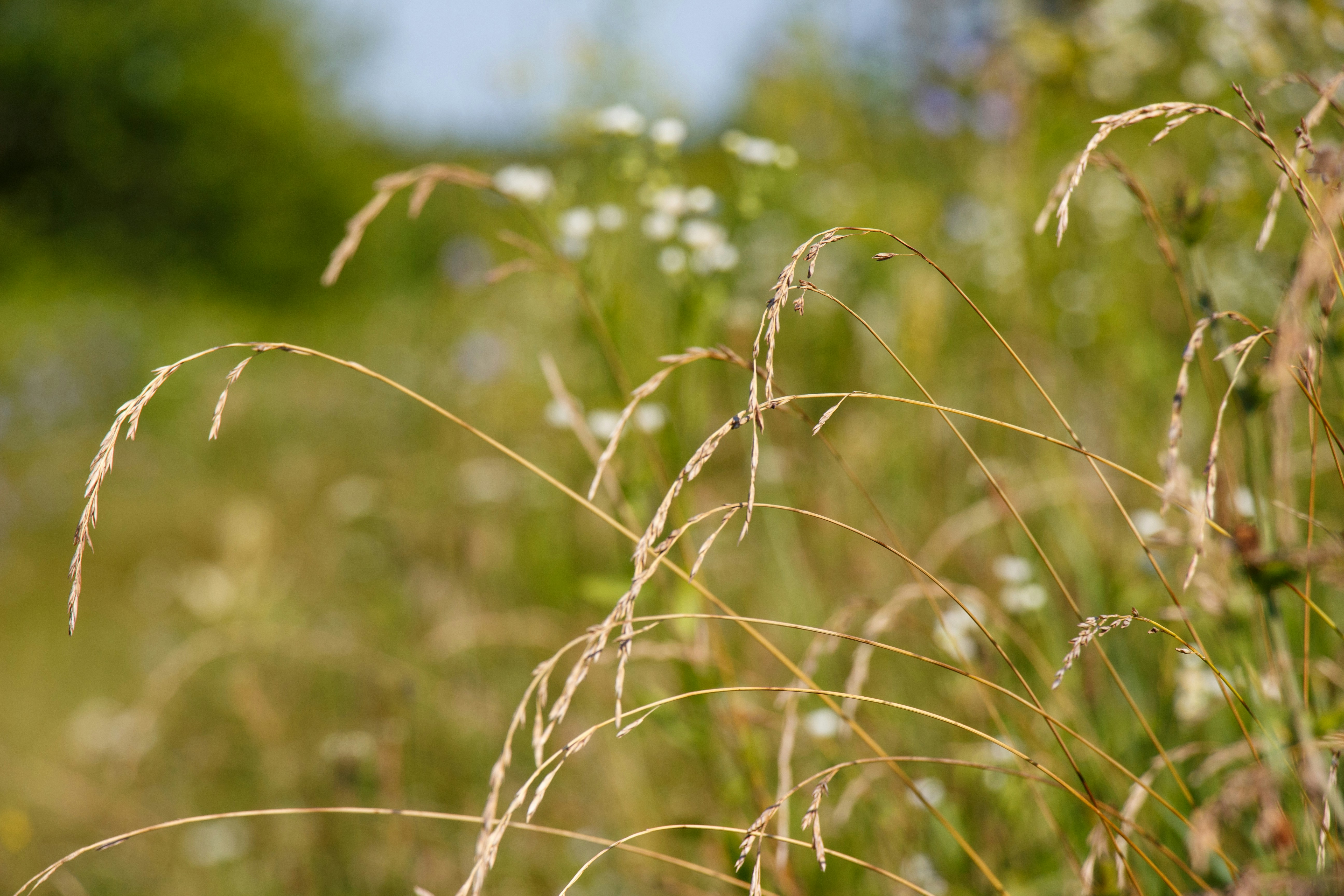 Photo by viktorsmoliak