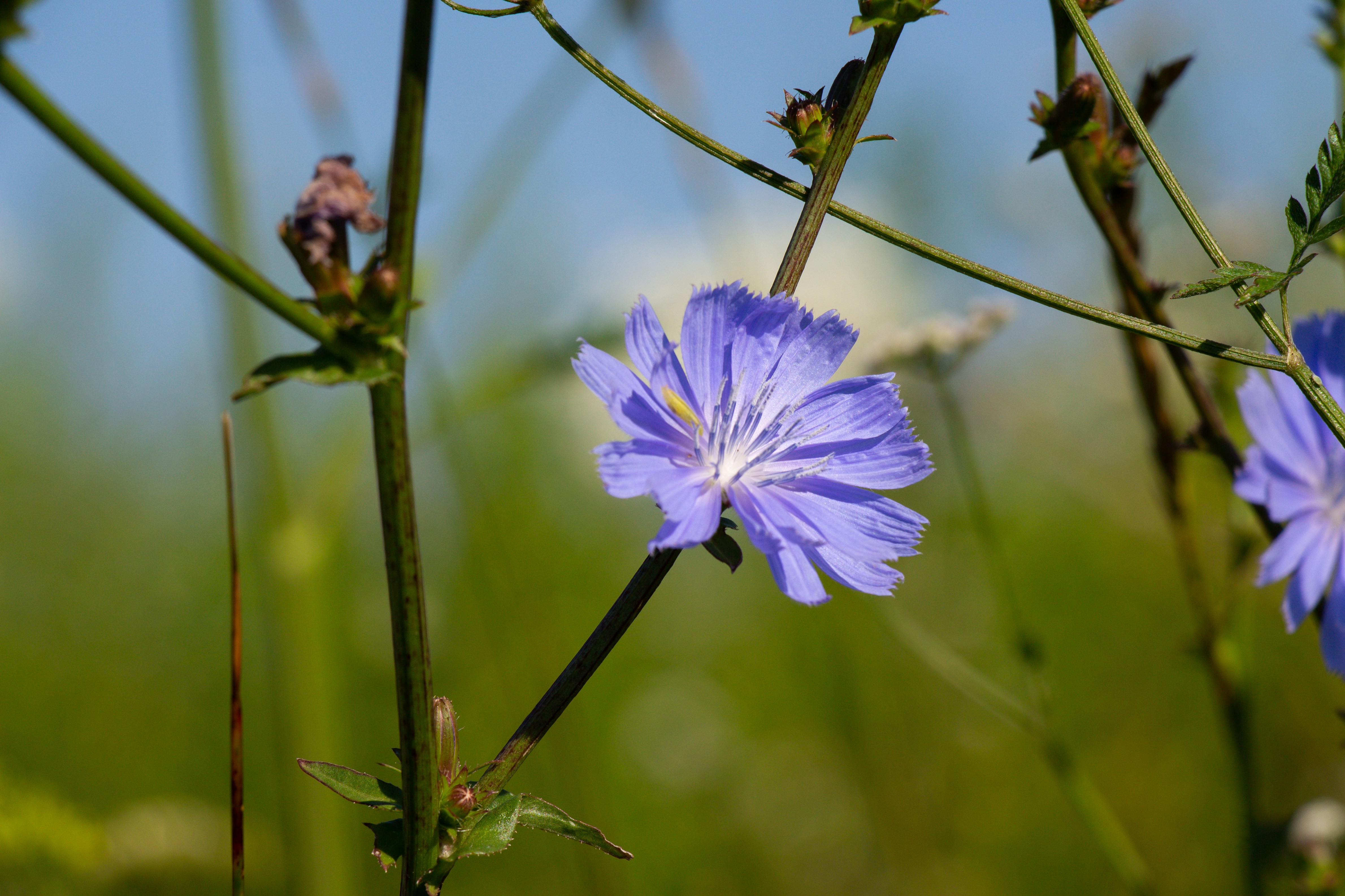 Photo by viktorsmoliak