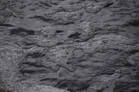 Dark water covered with numerous bubbles and foam formations scattered across the surface.