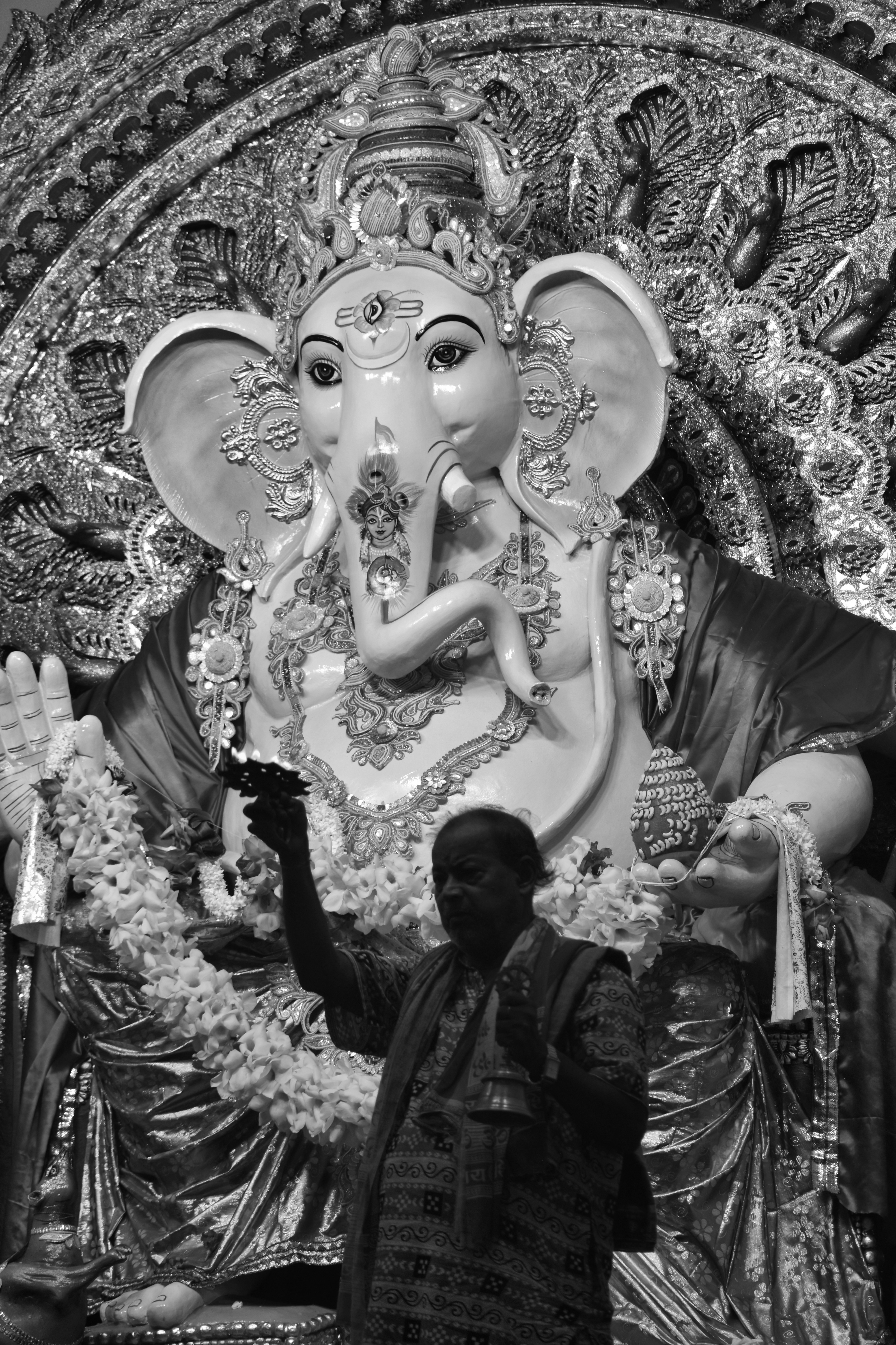 Photo by soubhagya23