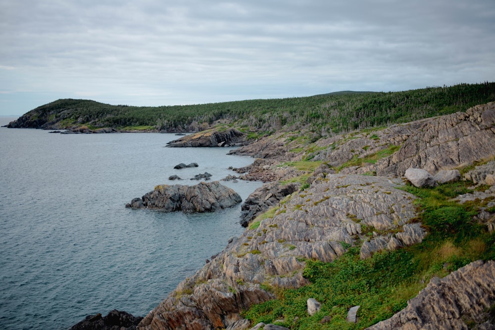 a large body of water next to a lush green hillside