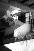 A modern, industrial-style interior with exposed concrete beams and a staircase. Large potted plants are placed strategically near the stairs, adding natural elements to the space. A series of horizontal blinds covers the large windows, diffusing the light entering the room. The overall design appears minimalist with a focus on architectural details.