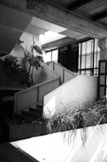 A modern, industrial-style interior with exposed concrete beams and a staircase. Large potted plants are placed strategically near the stairs, adding natural elements to the space. A series of horizontal blinds covers the large windows, diffusing the light entering the room. The overall design appears minimalist with a focus on architectural details.