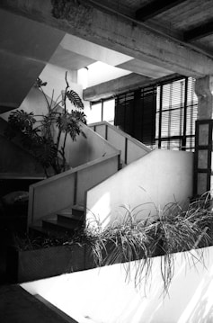 A modern, industrial-style interior with exposed concrete beams and a staircase. Large potted plants are placed strategically near the stairs, adding natural elements to the space. A series of horizontal blinds covers the large windows, diffusing the light entering the room. The overall design appears minimalist with a focus on architectural details.