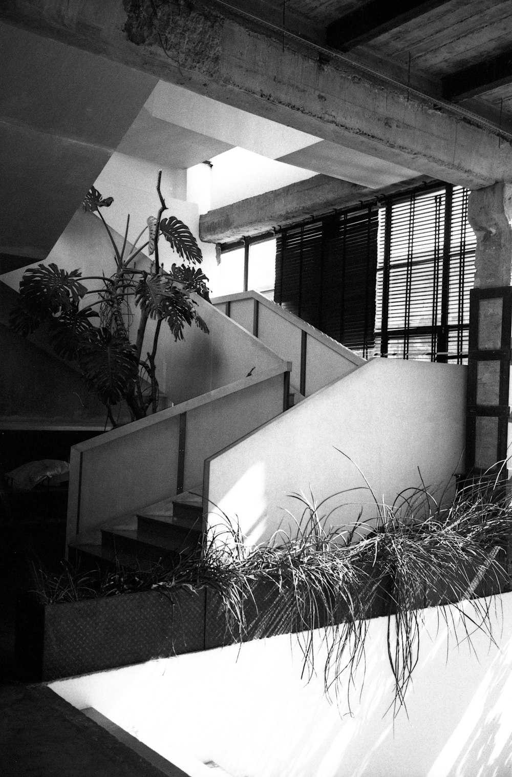 a black and white photo of a staircase