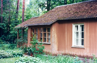 Rustic cabin with a warm brown roof blending into the natural surroundings.