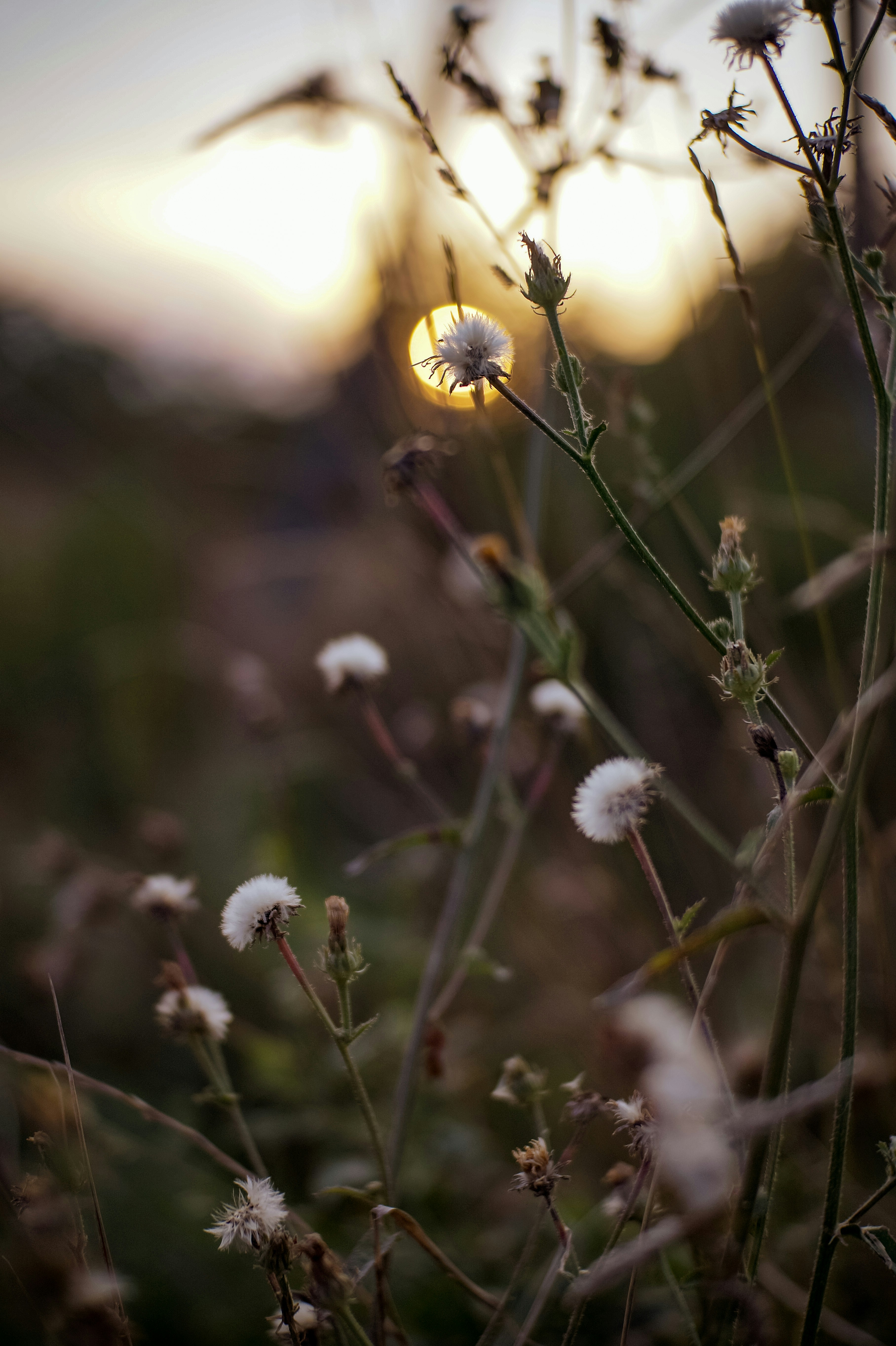 Photo by valentine_ivanova