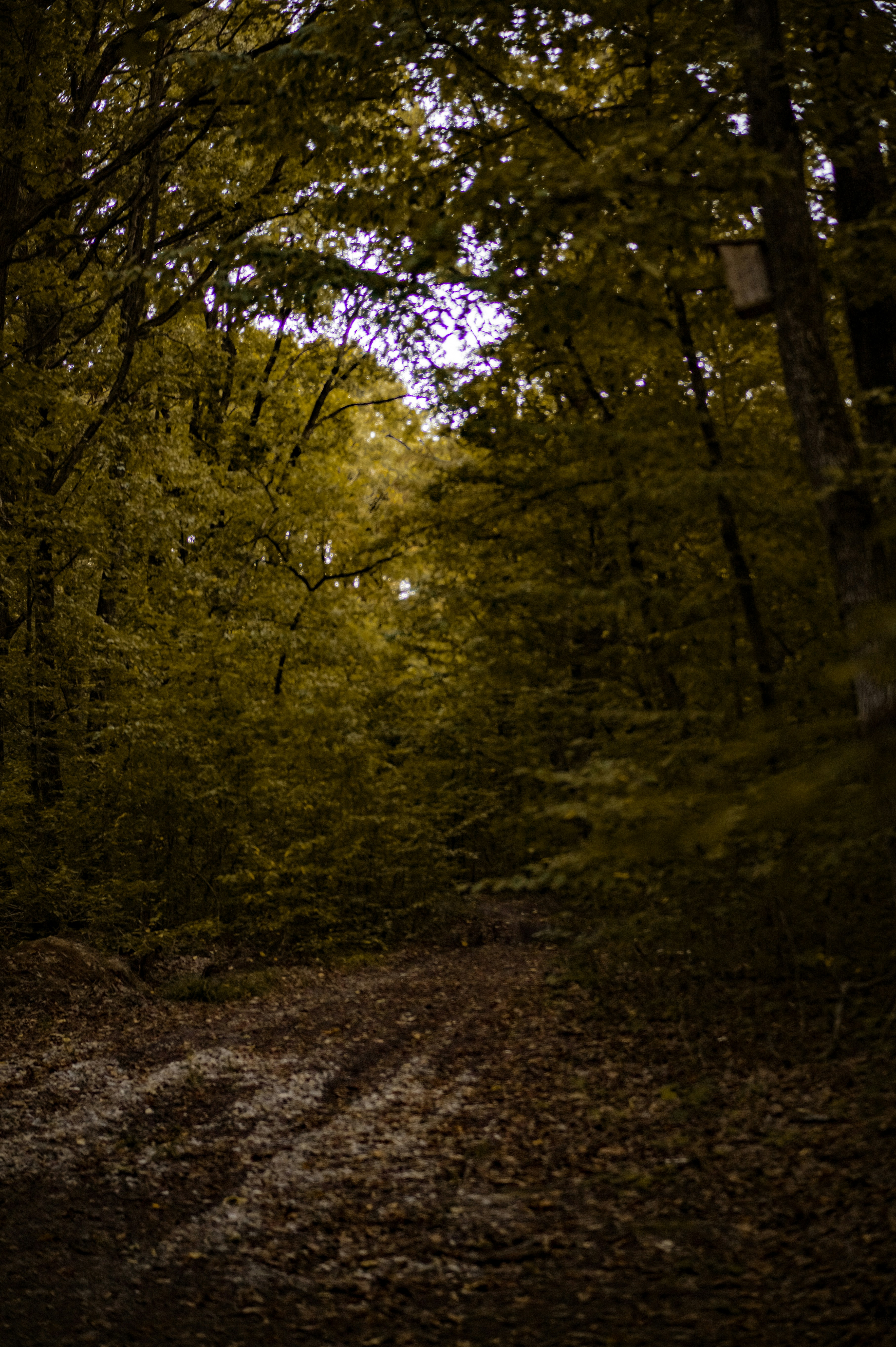 Photo by valentine_ivanova