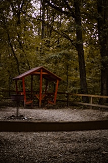 A small wooden gazebo with a red roof and simple bench seating sits on a gravel area surrounded by a wooden fence. It is nestled within a dense forest characterized by tall trees and abundant foliage. The scene is in a natural, outdoor setting.