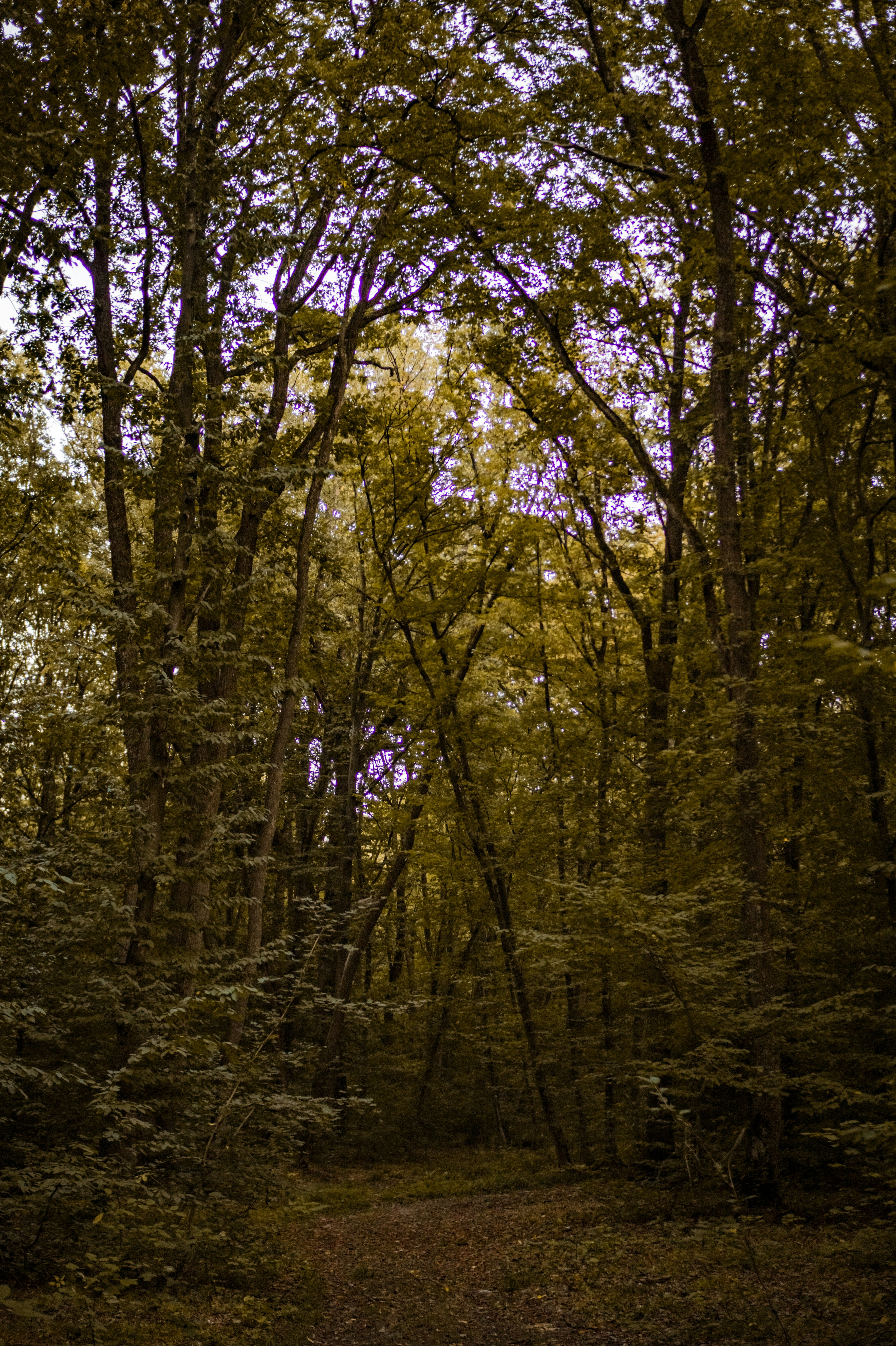 Photo by valentine_ivanova