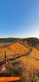 a wooden fence on the side of a hill