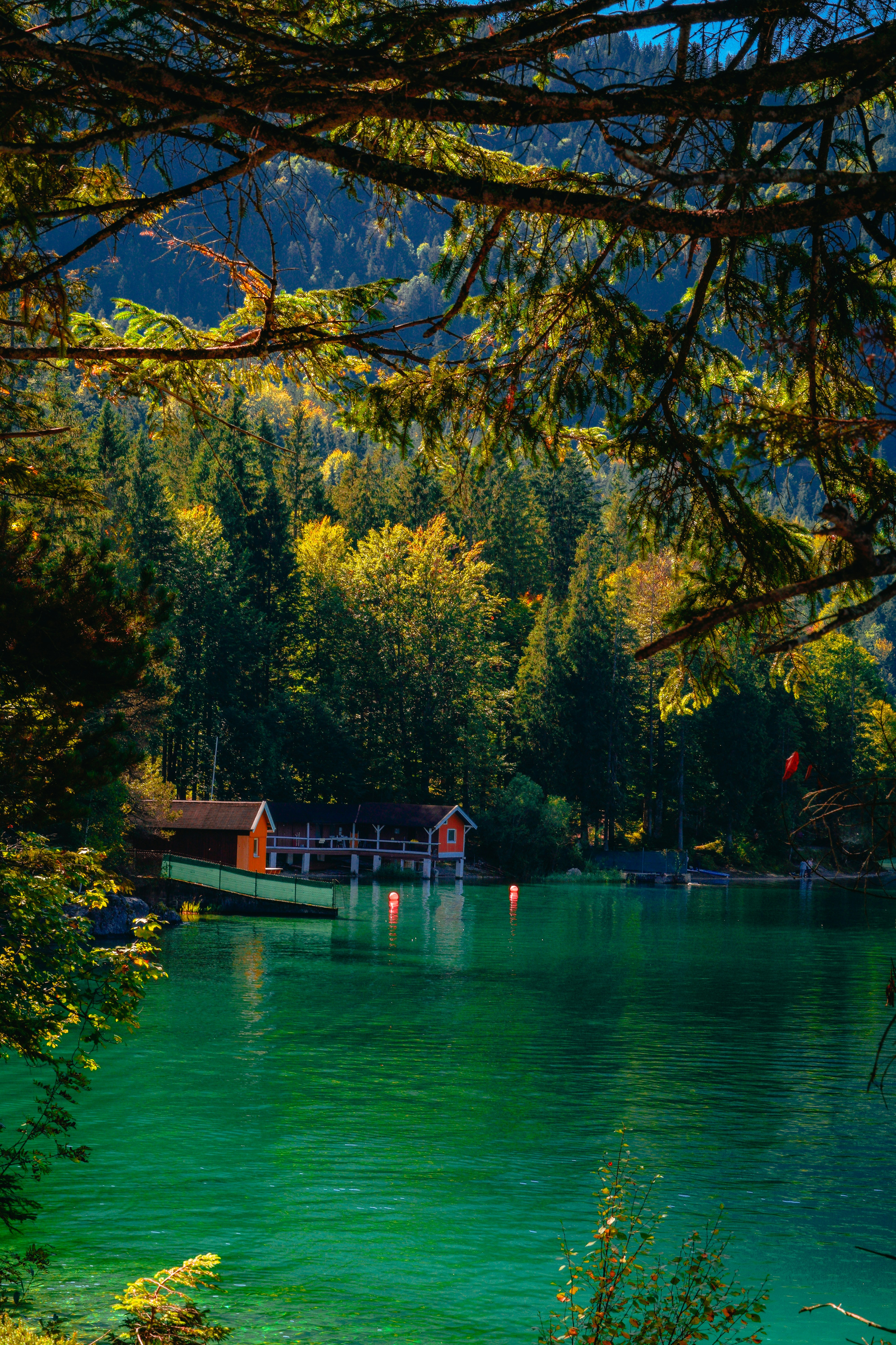 Photo by dheerudhruva0037