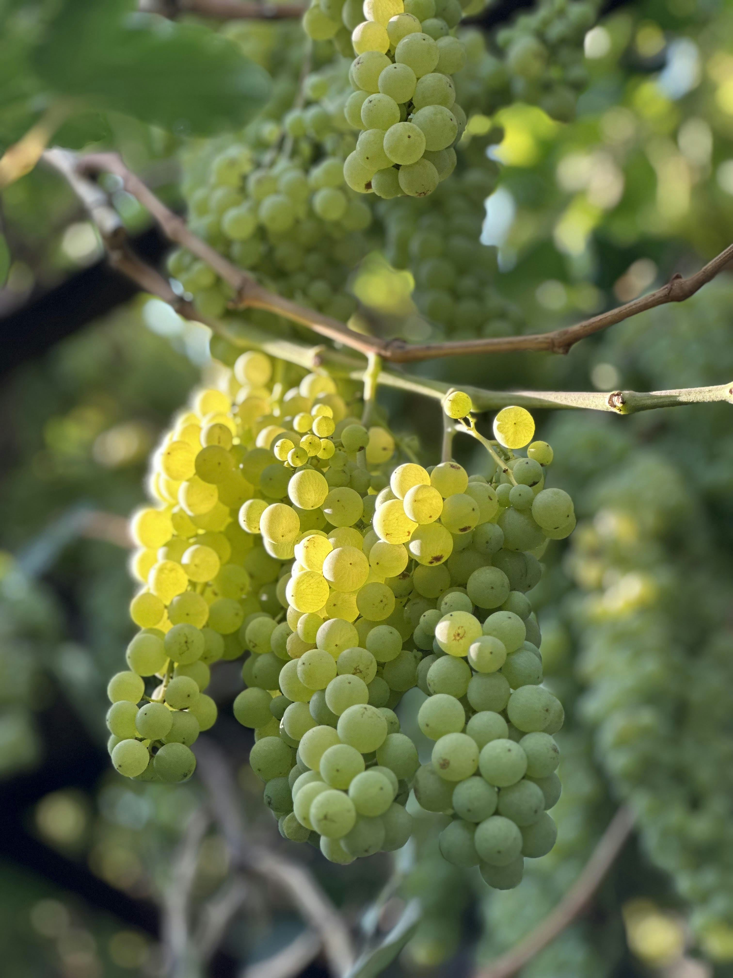 Photo by taguhi_kirakosyan