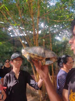 Children and adults gathered at an educational workshop learning about turtle conservation.