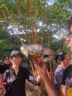 World Turtle Federation leaders gathered at an international conference, exchanging ideas with flags of multiple nations in the background