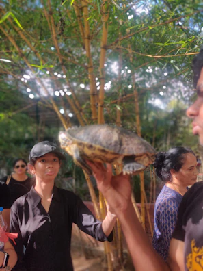 Children and adults gathered at an educational workshop learning about turtle conservation.