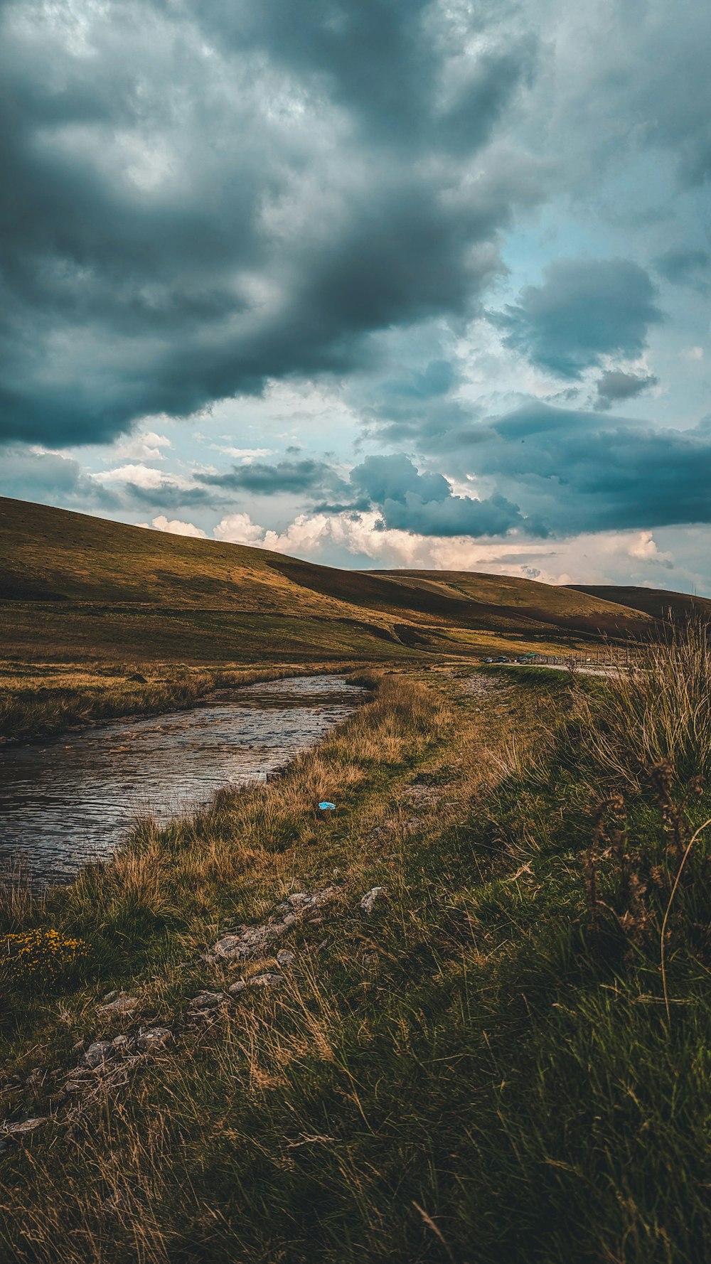 Ein Fluss, der durch ein üppig grünes Feld unter einem bewölkten Himmel fließt