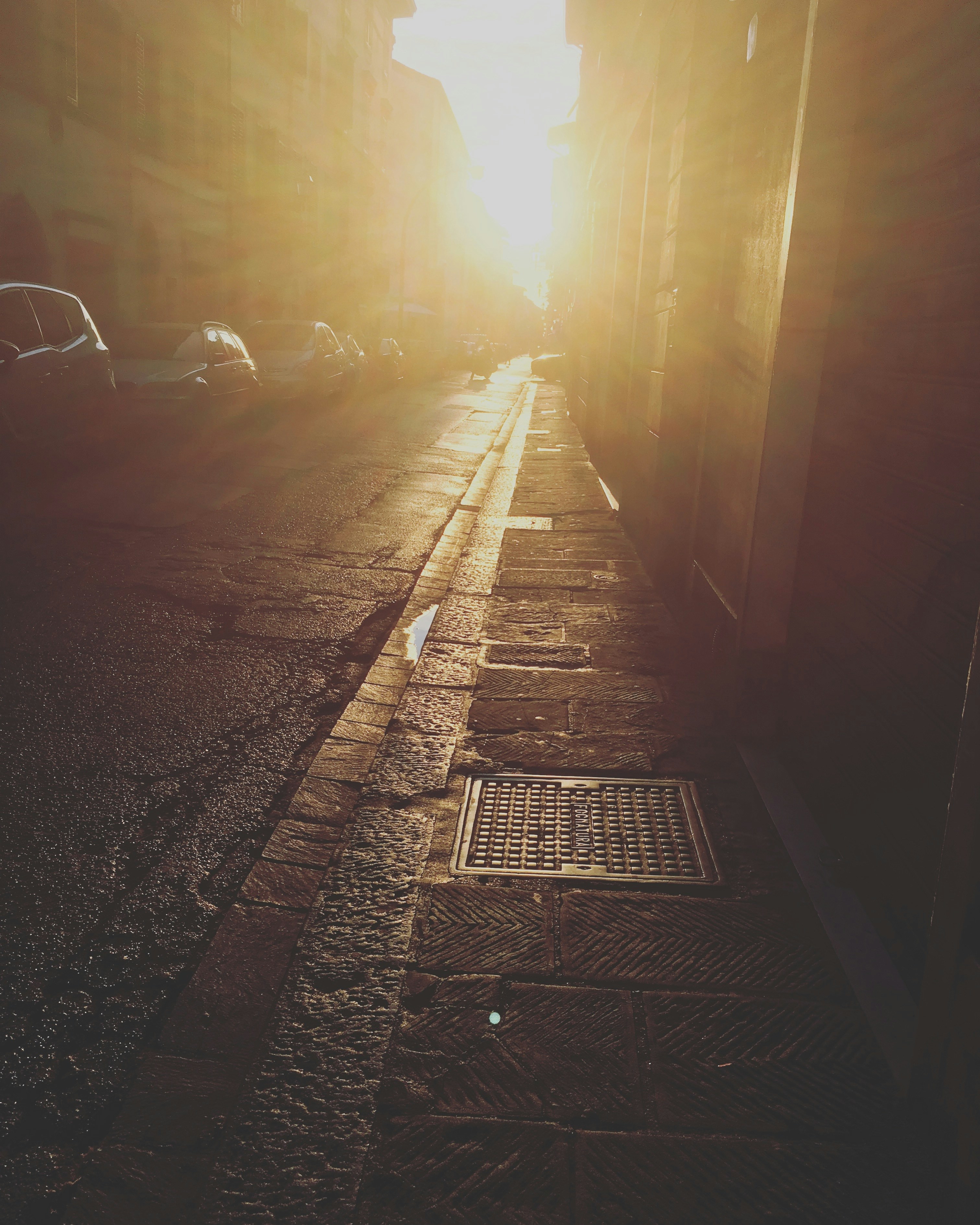 Photo by katerinalintu111