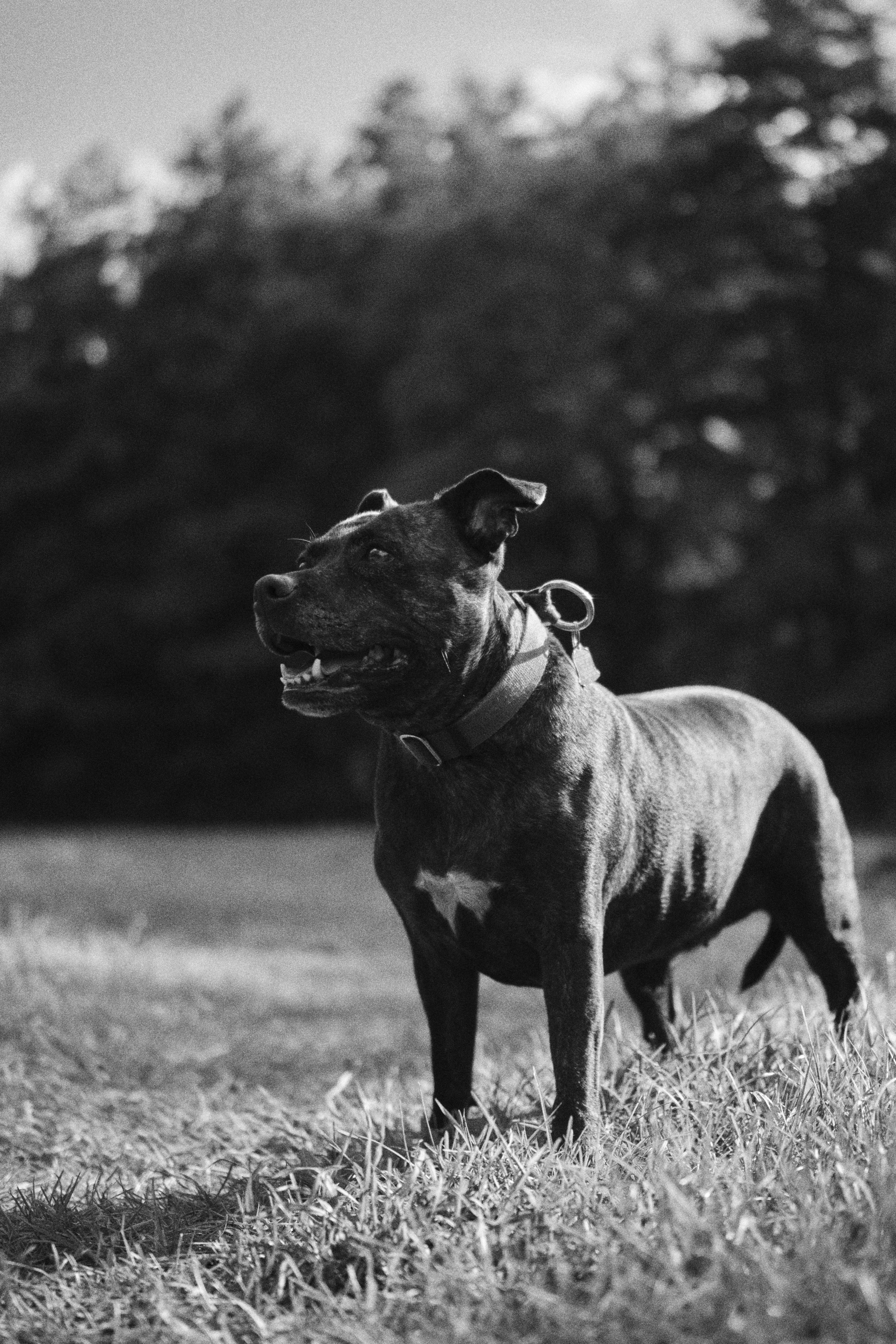 Photo by victor_vector