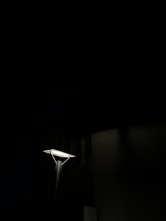 A single streetlight illuminates a small area in an otherwise dark setting. The light emits a bright, focused beam that highlights the pole and a small part of the surroundings. There are shadows cast on adjacent structures, hinting at an urban environment.