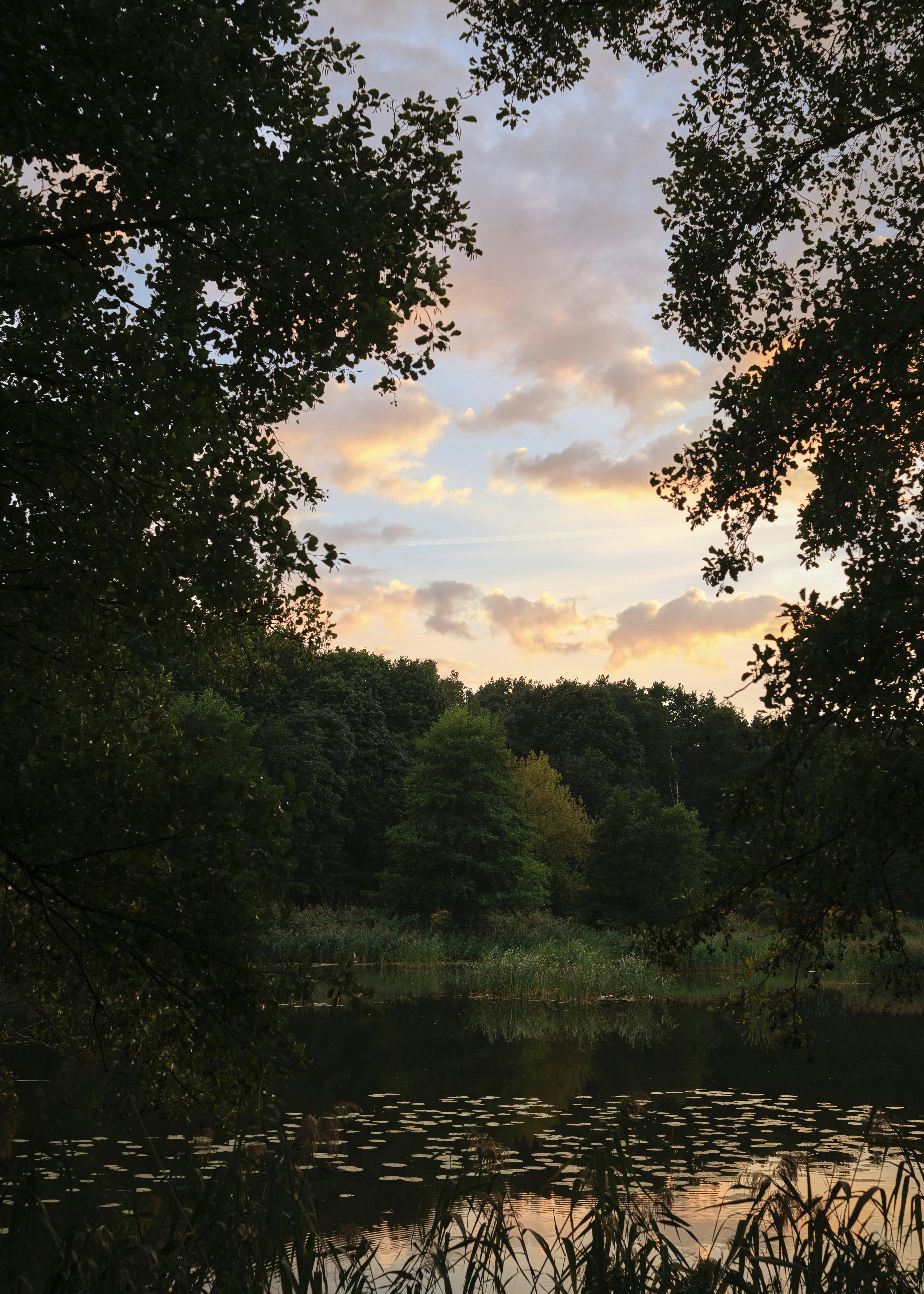 Photo by victor_vector