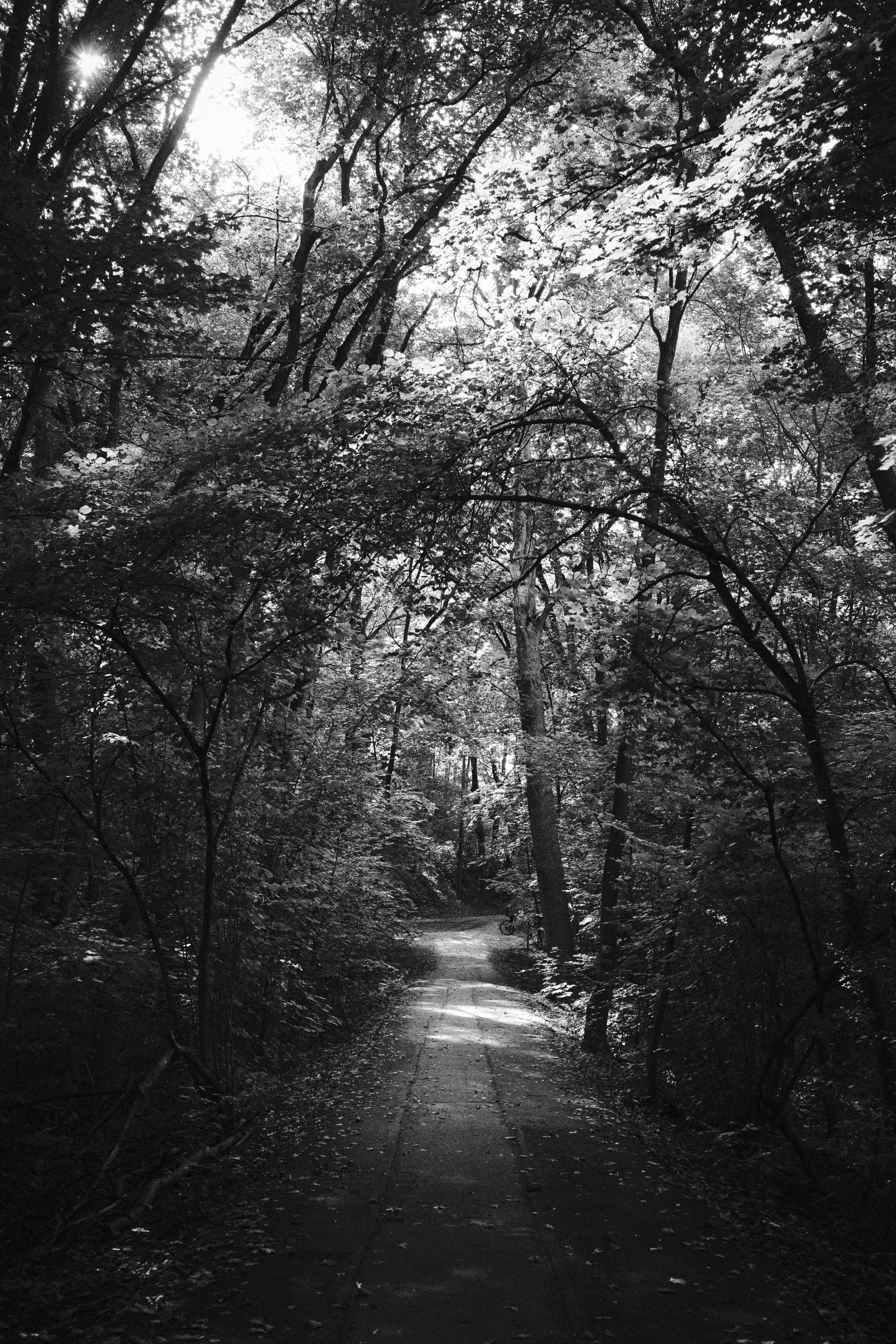 Photo by victor_vector